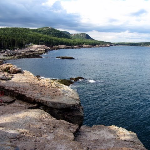 Cynthia Waite Photo 7