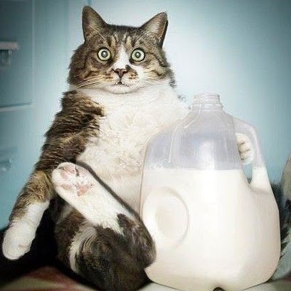 Kimberly Sherman Photo 34