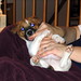 Donna Jack Photo 21