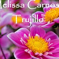 Melissa Trujillo Photo 8