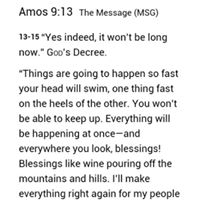 Celia Anderson Photo 22