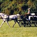 Christine Byerly Photo 10