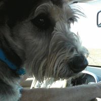 Vicki Cummings Photo 25