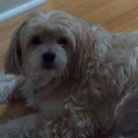 Sara Iverson Photo 17