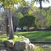 Alice Keck Photo 9