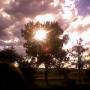Cindy Bivens Photo 18