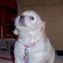 Janet Krueger Photo 14