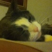 Kristina Burch Photo 11