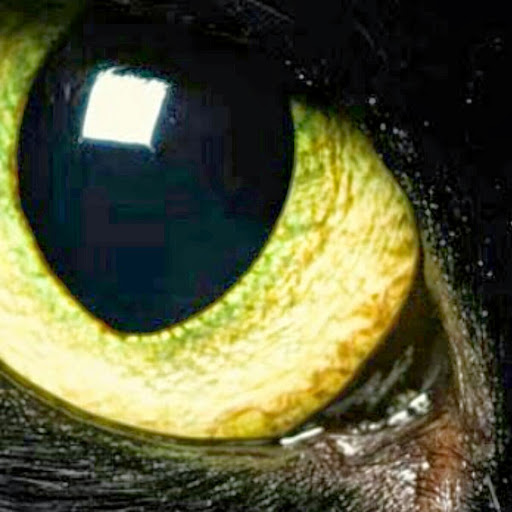 Jonathan Conner Photo 13