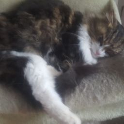 Marty Jenkins Photo 30