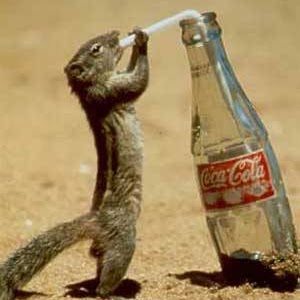 Ray Stapleton Photo 3