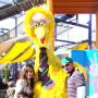 Ana Duarte Photo 35