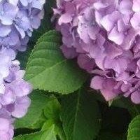Colleen Bybee Photo 2