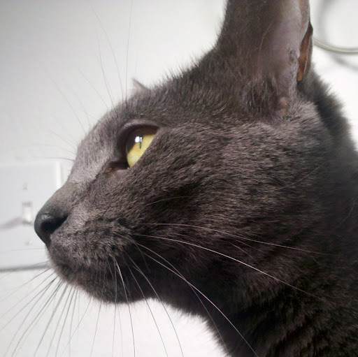 Gillian Knight Photo 26