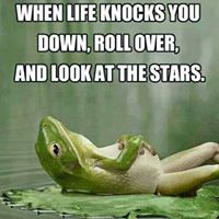 Melissa Mohr Photo 17