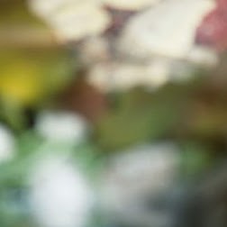 Jacob Potter Photo 7