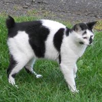 Vicki Dotson Photo 3