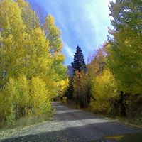 Jeremy Coffelt Photo 7