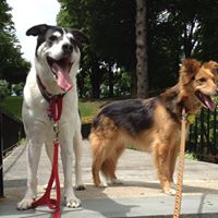 Sandra Fraley Photo 19