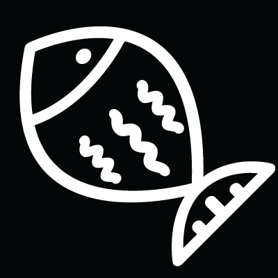 Nicholas Gomez Photo 24