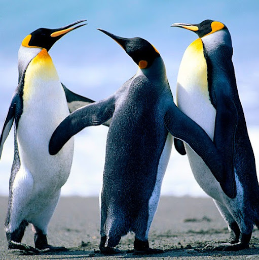 Samuel Moon Photo 37