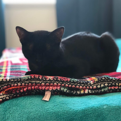 Vanessa Patrick Photo 32