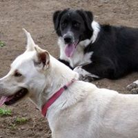 Jennifer Walter Photo 22 Jennifer Walter Photo 22