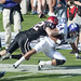 Joseph Sandford Photo 16