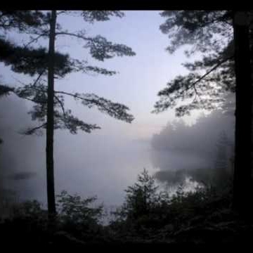 Michelle Sutherland Photo 8