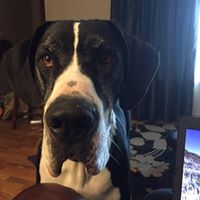 Julie Fuller Photo 8