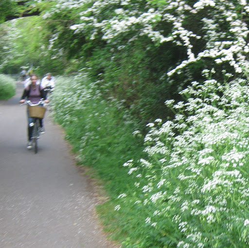 Emily Irwin Photo 35