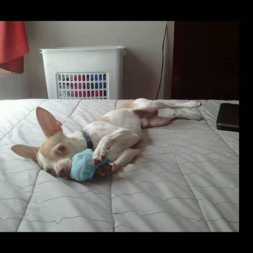 Christine Smiley Photo 17