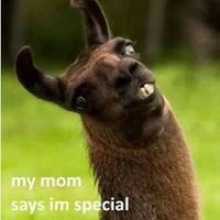 Julia Ritchey Photo 17