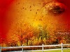 Suresh Chandra Photo 18
