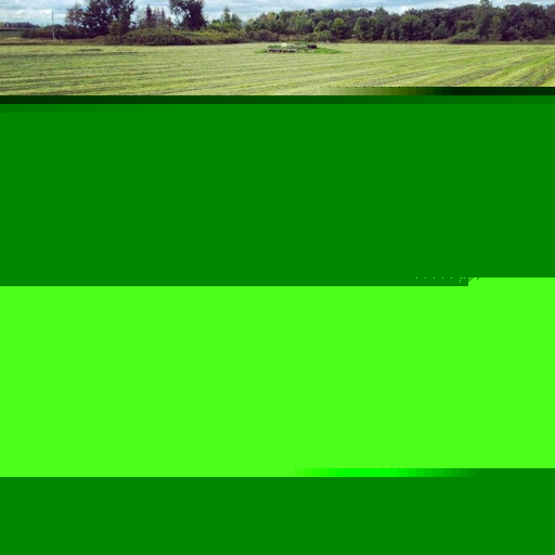 Erin Paul Photo 9 Erin Paul Photo 9