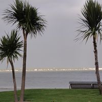 Stephanie Mercier Photo 28