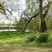 Margaret Hall Photo 27