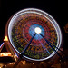 April Farris Photo 30