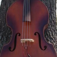 Teresa Humphries Photo 26