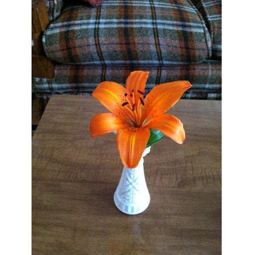 Colleen Mckee Photo 19