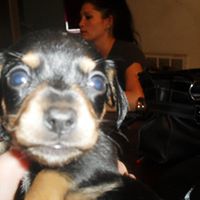 Seth Werner Photo 15