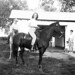 Katherine Turner Photo 47