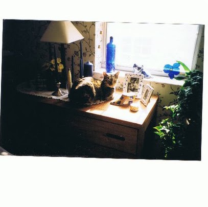 Jill Hutchinson Photo 39