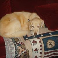 Kathleen Byrd Photo 12