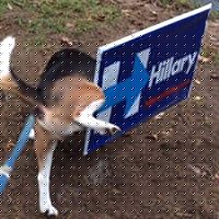 Chad Atkins Photo 47