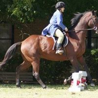 Vickie Poole Photo 24