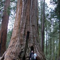 Jacqueline Fletcher Photo 11