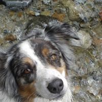 Sally Knipfer Photo 2