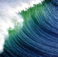 Ian Macleod Photo 16