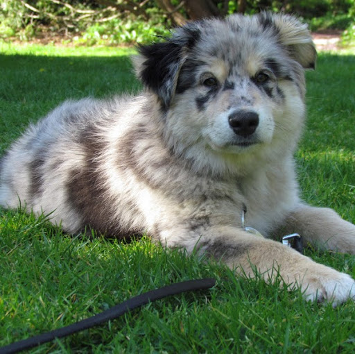 Sarah Ludlow Photo 10